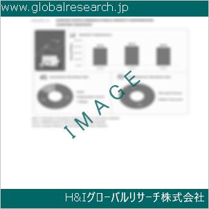 グローバルリサーチ調査資料のイメージ